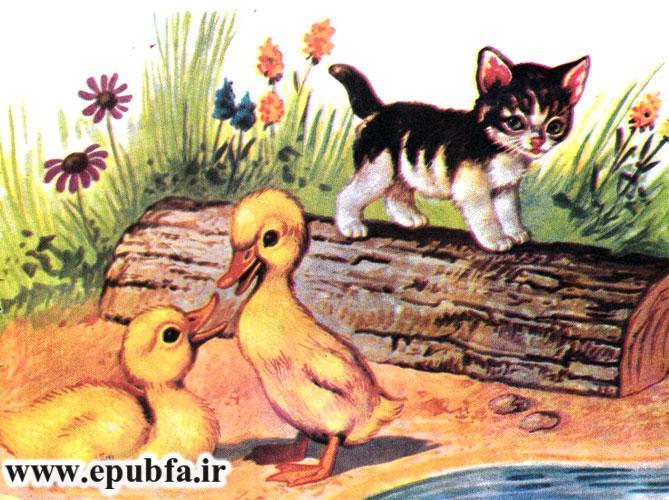 کتاب قصه کودکان- سارا و سعید در جنگل حیوانات - گربه و جوجه