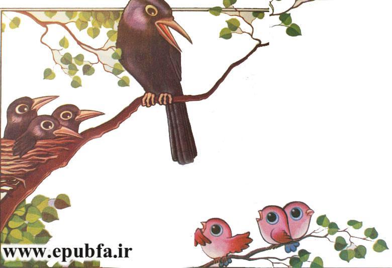 کتاب قصه کودکان - سحر پرنده مهربان - کلاغ و گنجشک