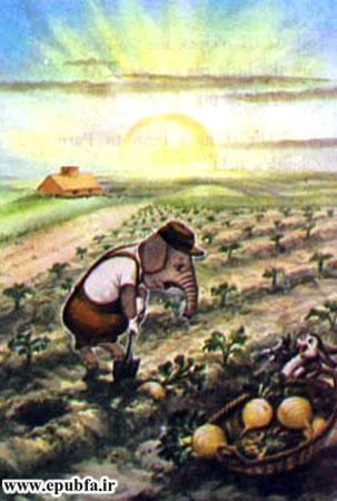 کتاب قصه کودکانه سه بچه فیل -  بچه فیل به مزرعه ترب می رود