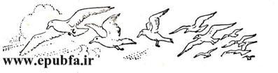 - کتاب داستان مصور شاهزاده های پرنده و زیگفرید برای کودکان در ایپابفا (1).jpg