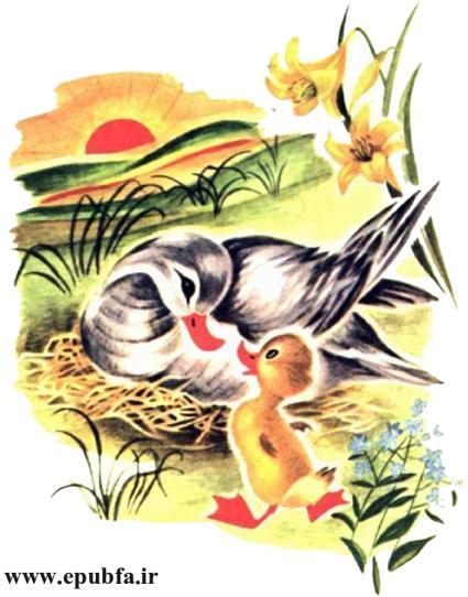 داستان مصور کودکان جوجه اردک کوچولوی بامزه و کتاب کودکان در سایت ایپابفا (16).jpg