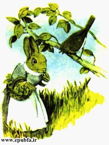 کتاب داستان مصور قدیمی جو پستچی پرنده سینه سرخ برای کودکان ایپابفا (8).jpg