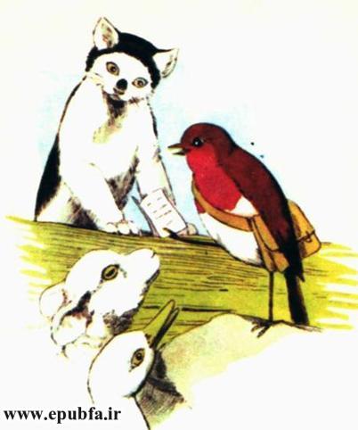 کتاب داستان مصور قدیمی جو پستچی پرنده سینه سرخ برای کودکان ایپابفا (11).jpg