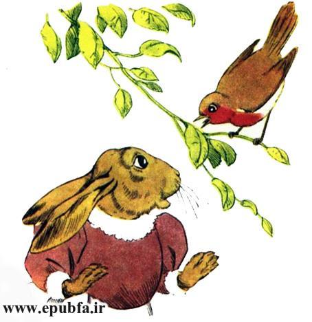 کتاب داستان قدیمی و داستان مصور خانم نی بل خرگوش مهربان برای کودکان ایپابفا (7).jpg