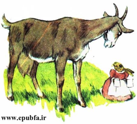 کتاب داستان قدیمی و داستان مصور خانم نی بل خرگوش مهربان برای کودکان ایپابفا (12).jpg