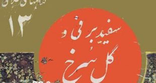 داستان سفید برفی و گل سرخ -جلد 13 کتابهای طلائی کتاب مصور کودکان در سایت ایپابفا (1)