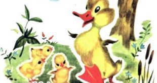 داستان مصور کودکان -جوجه اردک کوچولوی بامزه و کتاب کودکان در سایت ایپابفا (9)