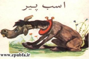 کتاب داستان کودکانه: اسب پیر / خدا چیز بی فایده نیافریده 3