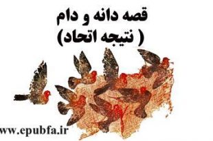 مجموعه قصه - باهم زندگی کنیم- جلد قصه دام و دانه، همکاری کبورتها برای نجات از تور صیاد-سایت ایپابفا (4)