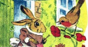 قصه کودکانه خانم نی بِل: خرگوش مهربان مزرعه توت جنگلی 4