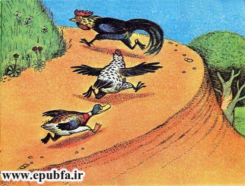  آن کس که نداند-کتاب قصه تصویری حیوانات مزرعه-کتاب قصه مصور کودکان-ایپابفا 