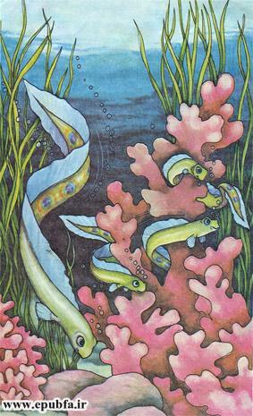 پَرماهی-کتاب قصه کودکانه دنیای ماهی ها-قصه تصویری کودکان-epubfaایپابفا (4).jpg
