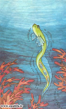 پَرماهی-کتاب قصه کودکانه دنیای ماهی ها-قصه تصویری کودکان-epubfaایپابفا (5).jpg