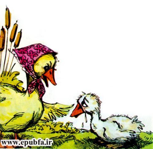 کتاب قصه کودکانه قدیمی: بچه اردک زشت 11