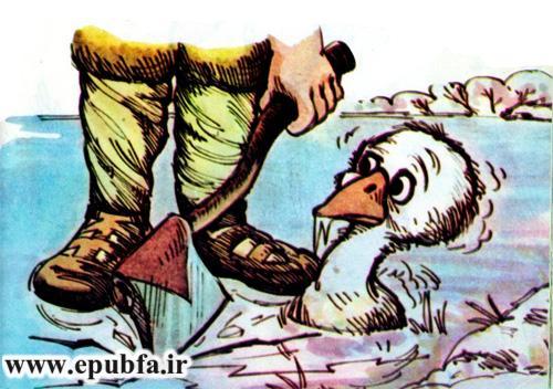 کتاب قصه کودکانه قدیمی: بچه اردک زشت 23