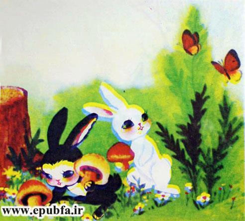 چهارخرگوش کوچولو به چیدن قارچ می‌روند-کتاب تصویری آموزش اتحاد و همکاری به کودکان-ایپابفا سایت قصه و داستان3