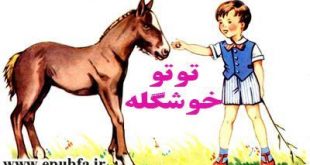 توتو خوشگله-مجموعه شعر تصویری حیوانات برای کودکان -ایپابفا (6-)