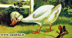 کتاب قصه مصور کودکانه اردک ناقلا برای بچه های ایپابفا (2)
