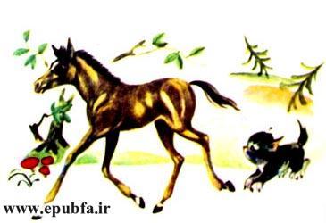 کتاب قصه کودکانه: دوستی اسب و گربه ، از مجموعه داستان های مزرعه حیوانات 4 2
