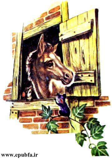 کتاب قصه کودکانه: دوستی اسب و گربه ، از مجموعه داستان های مزرعه حیوانات 4 4