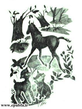 کتاب قصه کودکانه: دوستی اسب و گربه ، از مجموعه داستان های مزرعه حیوانات 4 7