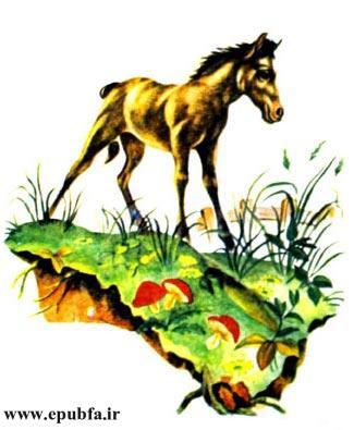 کتاب قصه کودکانه: دوستی اسب و گربه ، از مجموعه داستان های مزرعه حیوانات 4 8