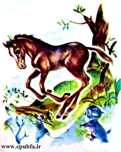 کتاب قصه کودکانه: دوستی اسب و گربه ، از مجموعه داستان های مزرعه حیوانات 4 13