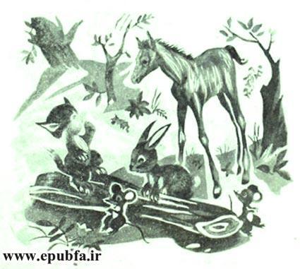 کتاب قصه کودکانه: دوستی اسب و گربه ، از مجموعه داستان های مزرعه حیوانات 4 14