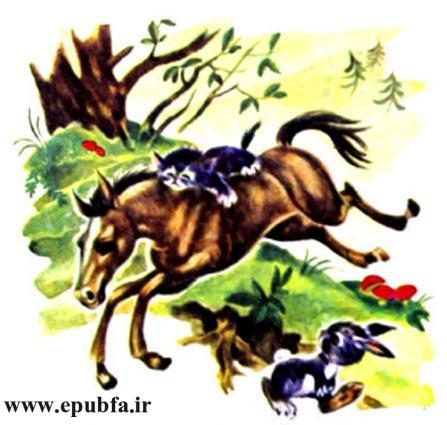 کتاب قصه کودکانه: دوستی اسب و گربه ، از مجموعه داستان های مزرعه حیوانات 4 16