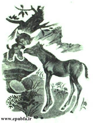 کتاب قصه کودکانه: دوستی اسب و گربه ، از مجموعه داستان های مزرعه حیوانات 4 19