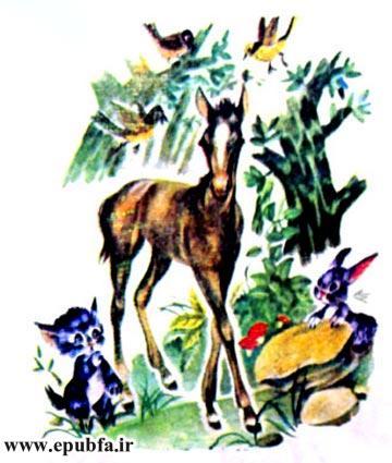 کتاب قصه کودکانه: دوستی اسب و گربه ، از مجموعه داستان های مزرعه حیوانات 4 20