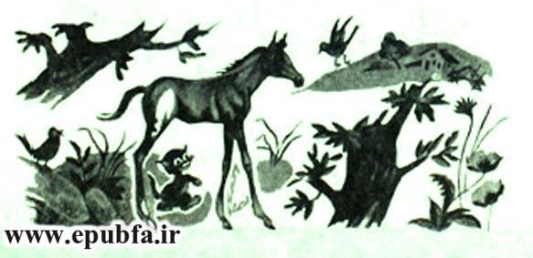 کتاب قصه کودکانه: دوستی اسب و گربه ، از مجموعه داستان های مزرعه حیوانات 4 21