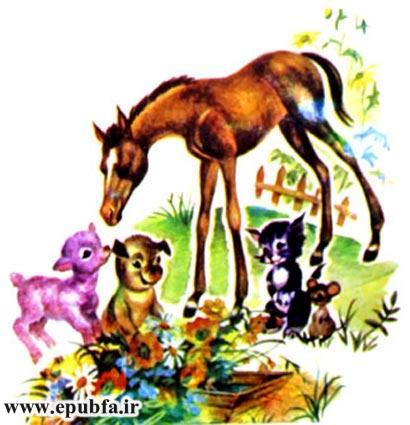 کتاب قصه کودکانه: دوستی اسب و گربه ، از مجموعه داستان های مزرعه حیوانات 4 24