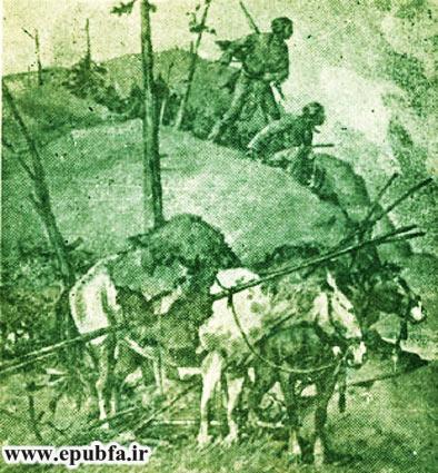تونکا اسب سرکش - داستان پرهیجان پسری سرخپوست و اسب وحشی در چمنزارهای داکوتا - جلد 40 کتاب های طلایی 4