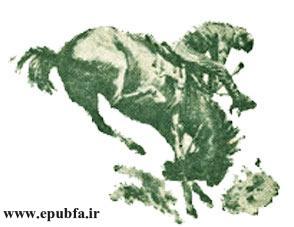 تونکا اسب سرکش - داستان پرهیجان پسری سرخپوست و اسب وحشی در چمنزارهای داکوتا - جلد 40 کتاب های طلایی 14