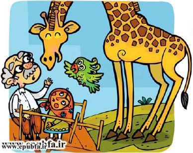 قصه کودکانه من، طوطی و پدربزرگ در باغ وحش 9