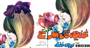 کتاب قصه صوتی«غنچه گل سرخ» یا «زیبای خفته» محصول سوپراسکوپ2