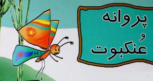 قصه قشنگ و آموزنده «پروانه و عنکبوت» برای کودکان