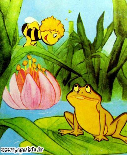 کتاب قصه کودکانه هاچ زنبور عسل، زنبور کوچولو و ماجراهای خطرناك - ایپابفا 7