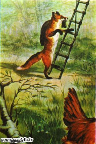 کتاب قصه کودکانه روباه و مرغ طلایی برای کودکان و خردسالان - ایپابفا4