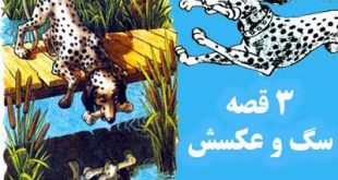 کتاب قصه عامیانه سگ و عکسش