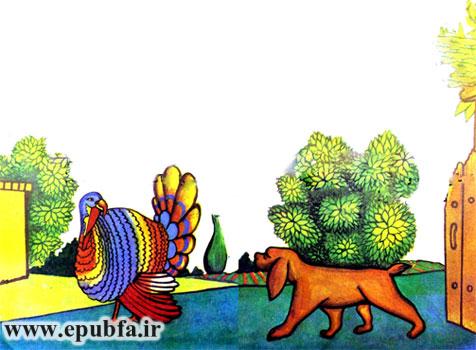 قصه کودکانه فلفلی و گل‌باقالی -داستان دو بوقلمون-عاقبت خودپسندی-ارشیو قصه ایپابفا