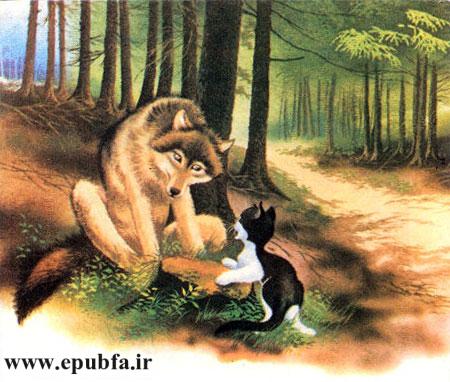 قصه کودکانه گربه کوچولو و روباه حیله‌گر - ارشیو قصه و داستان قدیمی ایپابفا