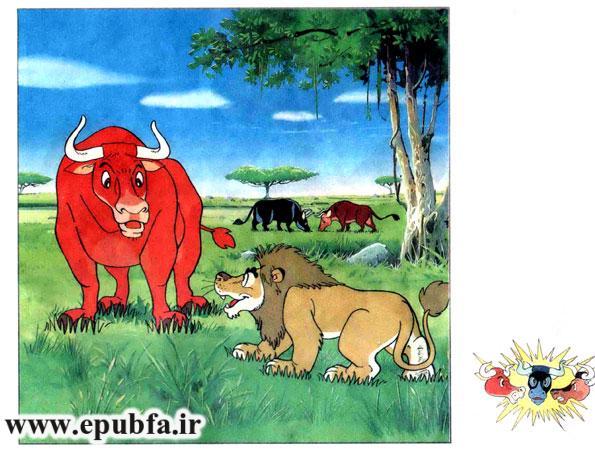 داستان ها و قصه های آموزنده کودکانه- سه گاو وحشی و شیر