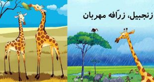 جلد قصه کودکانه زنجبیل زرافه مهربان