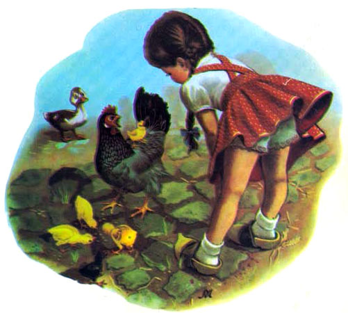 دختر کوچولو در حال بازی کردن با مرغ کرچ و جوجه هایش  -قصه کودکانه ایپابفا