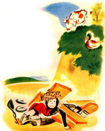 کتاب قصه کودکانه میمون بدشانس - قصه و داستان کودکانه ایپابفا