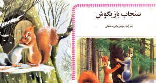 قصه کودکانه سنجاب بازیگوش