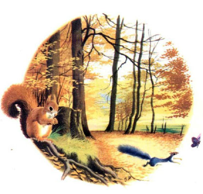 قصه کودکانه «سنجاب بازیگوش»-داستان‌های مصور رنگی برای کودکان-ارشیو قصه و داستان ایپابفا