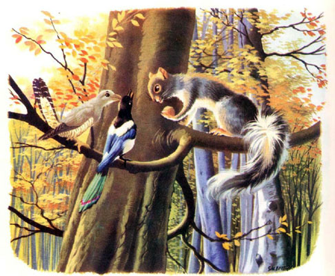 قصه کودکانه «سنجاب بازیگوش»-داستانهای مصور رنگی برای کودکان-ارشیو قصه و داستان ایپابفا